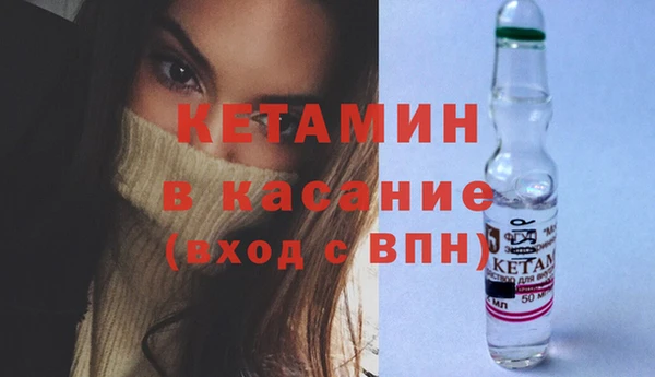 индика Медвежьегорск