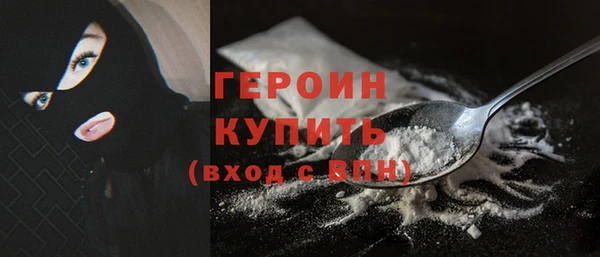 индика Медвежьегорск