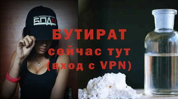 индика Медвежьегорск