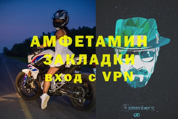индика Медвежьегорск