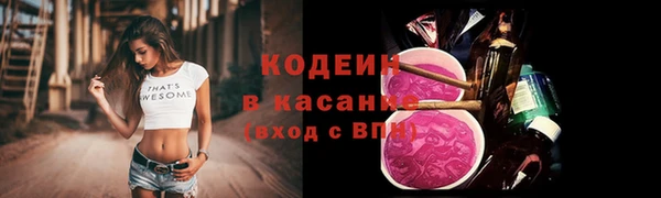 индика Медвежьегорск