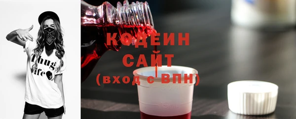 индика Медвежьегорск