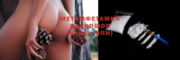 индика Медвежьегорск