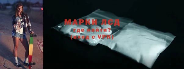 индика Медвежьегорск