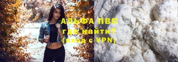 индика Медвежьегорск