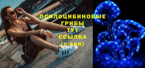 дмт Мегион