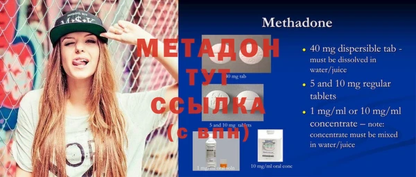 индика Медвежьегорск