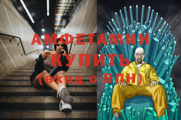 индика Медвежьегорск