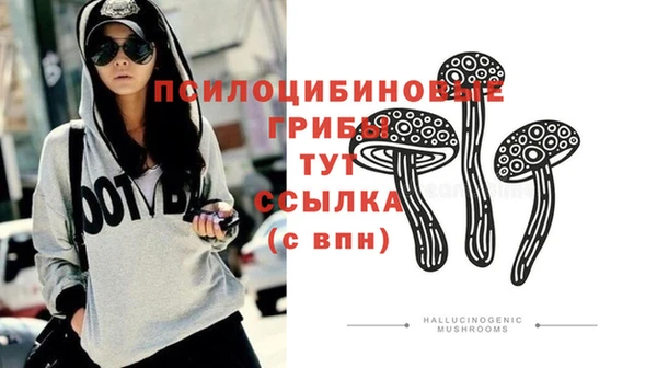 индика Медвежьегорск