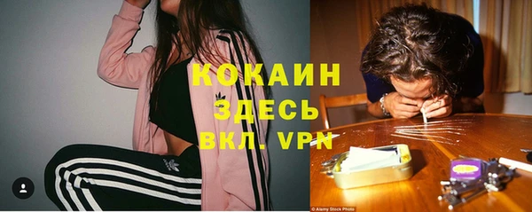 дмт Мегион