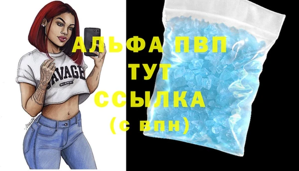 дмт Мегион