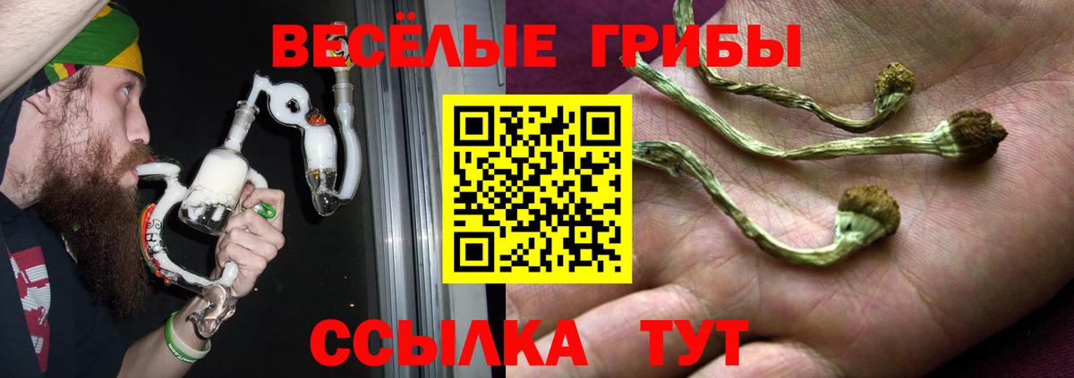 Псилоцибиновые грибы ЛСД  Вход с VPN  Азнакаево 