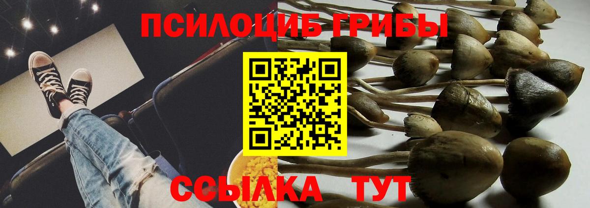 где купить наркоту  Азнакаево  Псилоцибиновые грибы Magic Shrooms 