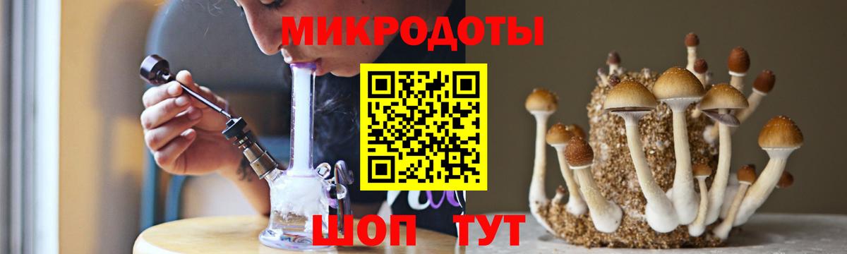 Галлюциногенные грибы Psilocybine cubensis Азнакаево
